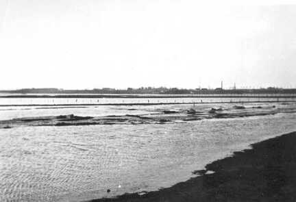 109 0016 Das Hochwasser im Fruehjahr Die Wiesen zwischen Wargienen und Zimmau stehen unter Wasser