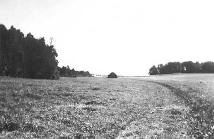 109 0022 Vor der Golle Moorgebiet und Elchrevier