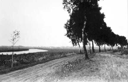 109 0028 Landweg von Koddien nach Wargienen Links der Pregel