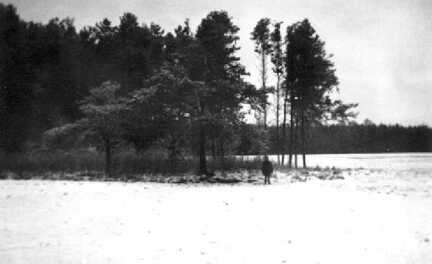 109 0035 Felder und Waelder des Herrn Porsch Noerdlich des Weges nach Kremitten