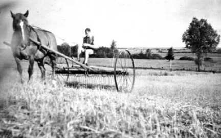 109 0038 Ulrich Schroeder im Jahre 1943 mit Hungerharke