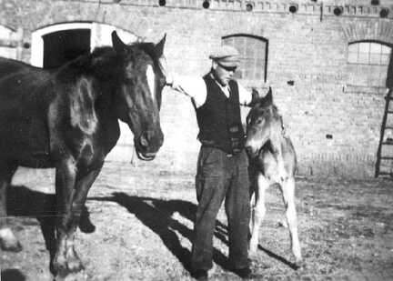 110 0011 Der polnische Kriegsgefangene Anton 1944 auf dem Hof Scharwies mit dem Fuchs und dem Fuellen