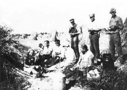 110 0022 Sommer 1943 in Warnien Roggenernte auf dem Hof Scharwies