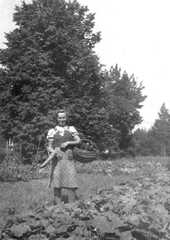 110 0023 Gurkenernte im Hausgarten Ursula Scharwies bei der Arbeit