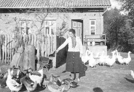 110 0033 Baeuerin Scharwies aus Warnien mit ihren Enten und Schleifengaensen