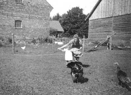 110 0034 Warnien 1944 Cousine Elly mit der kleinen Karin zwischen Stall und Scheune aergern den Puthahn