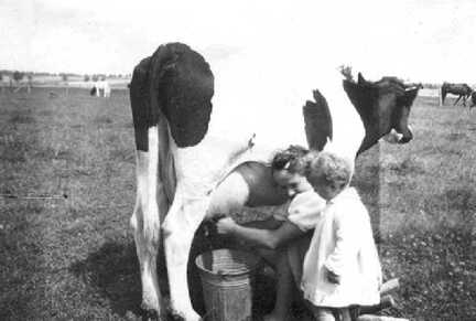 110 0060 Die kleine Karin Werner wundert sich wie die Milch in den Eimer kommt