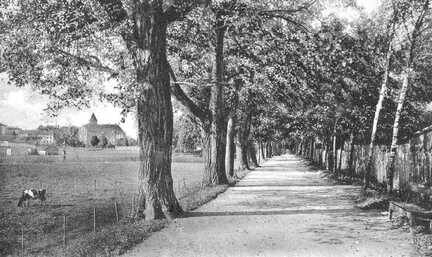 111 0018 Die Schanzen Promenade in Wehlau