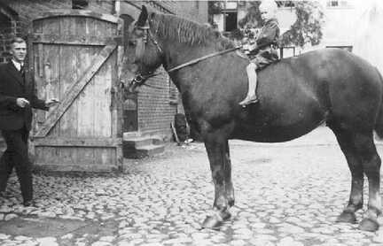 111 0036 Auf dem Hof von Steiniger Radtke in Wehlau Links Otto Radtke auf dem Pferd Juergen Kriwath