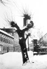 111 0465 Schnee in Wehlau