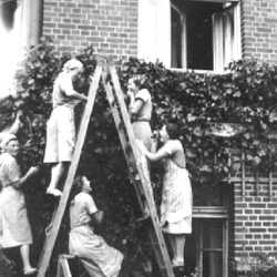 Wehlau bis 1945
