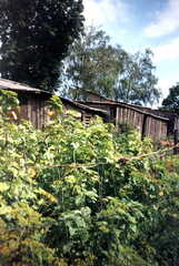 111 1301 Das Haus des Malermeisters Horn in Wehlau auf der Wattlau 1993