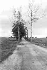 112 1016 Die gerade Strasse nach Weidlacken 1996