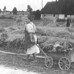 Wilkendorf bis 1945