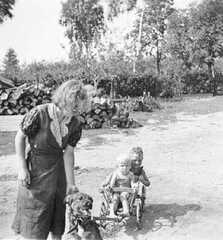 115 0015 Grittos Wolf vor dem Handwagen im Jahre 1939