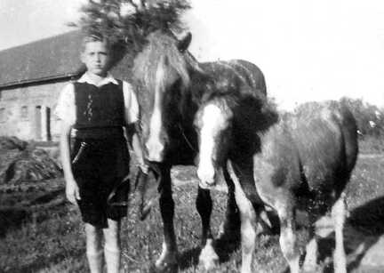 116 0023 Franz Bessel mit der Mutterstute und dem Fohlen