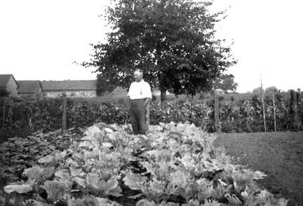 116 0032 Hans Bessel im Gemuesegarten bei der Kohlpflanzung