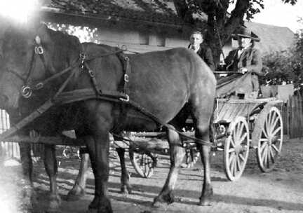 116 0042 Hans Bessel faehrt mit dem Federwagen seinen Sohn Werner zum Bahnhof nach Tapiau ab 16 08 1941 bei der Kriegsmarine